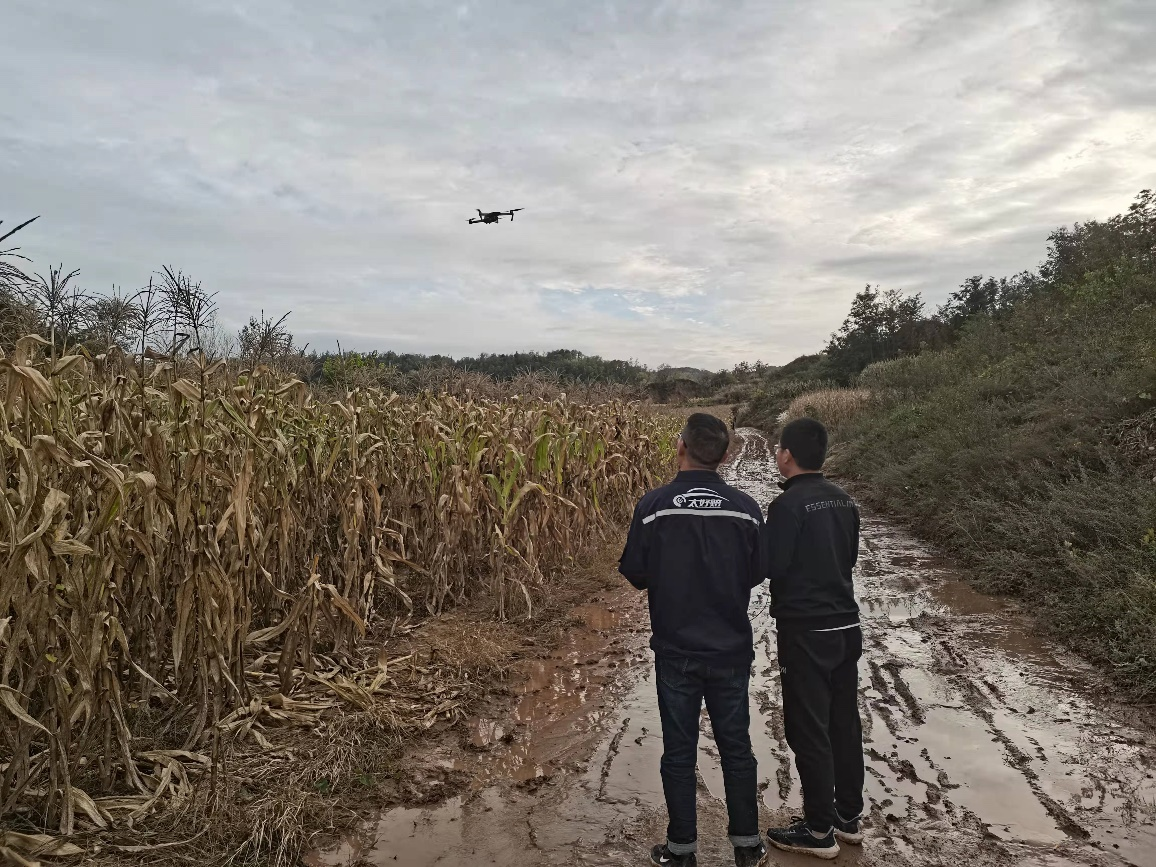 圖片關(guān)鍵詞